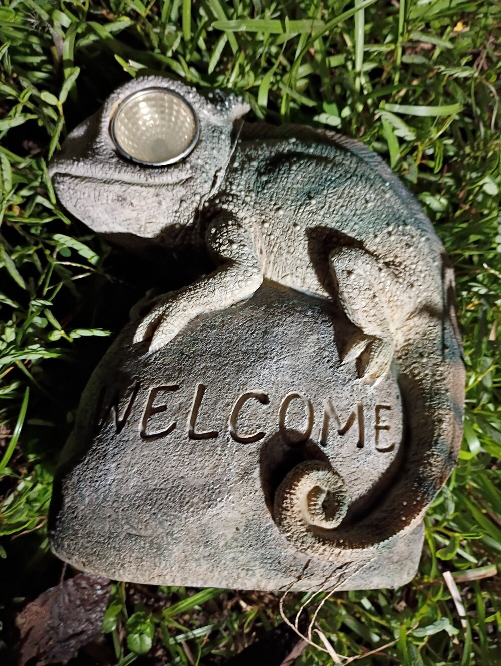 Solar Welcome Adorable Chameleon Statue Used One